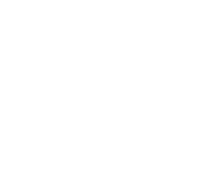 OIC logo
